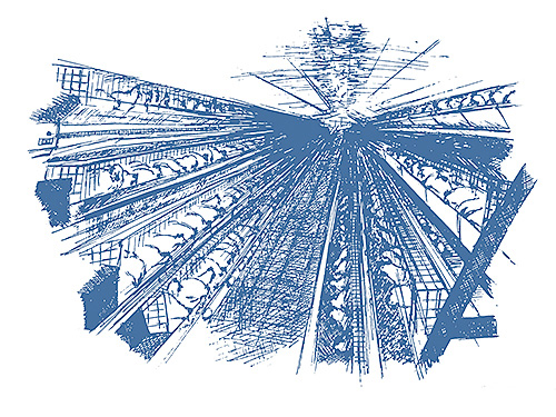 日本ビッグダッチマン設立