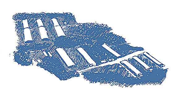 原種・種鶏農場設立