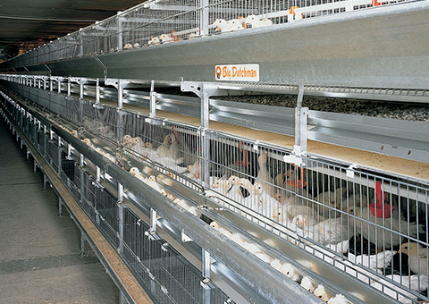 ケージシステム