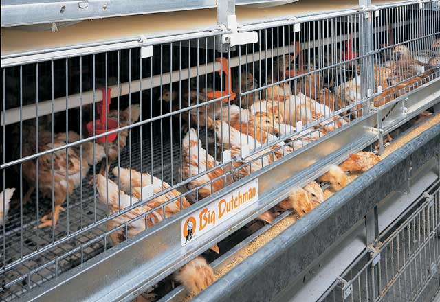 ユニベント育雛・育成ケージシステム