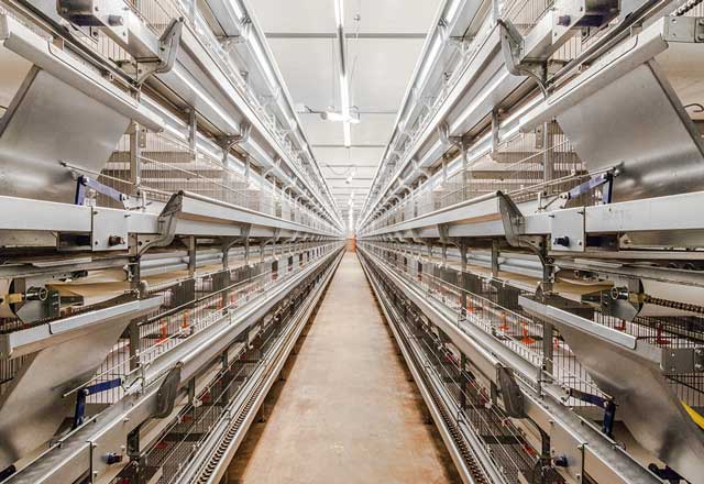 ユニベント育雛・育成ケージシステム