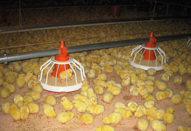 フラックス給餌システム