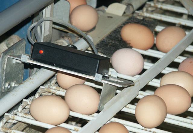 エッグナビ+カウンターセンサー