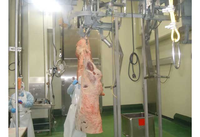 バックサポート