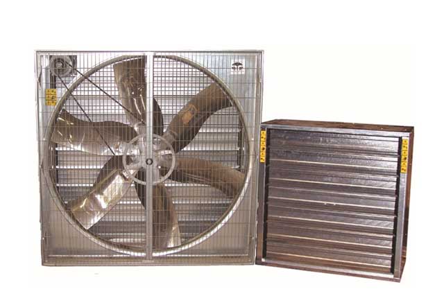 ユーロームファン