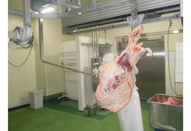 脱骨補助機ITセパレータ