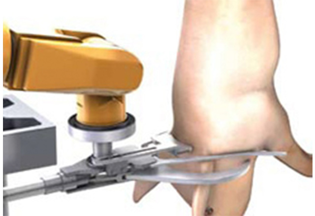 ネックカッター